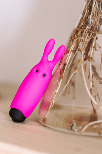 Bala Vibradora Estimuladora de Clítoris Lastic Pocket Vibe Rosa | Adrien Lastic